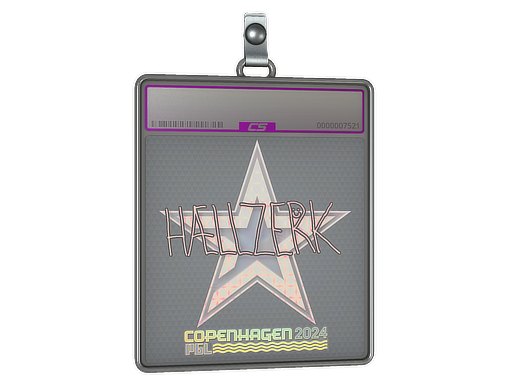 Sticker Slab | hallzerk (Holo) | Copenhagen 2024