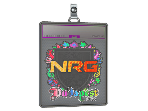 Sticker Slab | NRG (Holo) | Budapest 2025