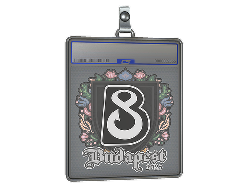 Sticker Slab | B8 | Budapest 2025