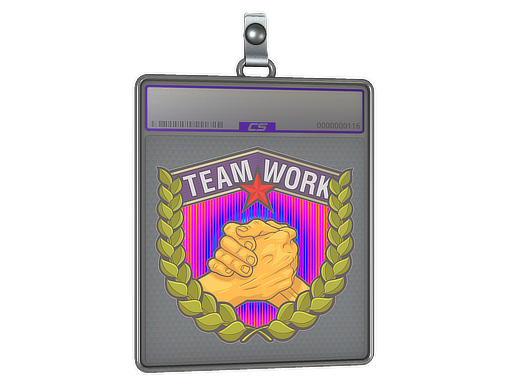 Sticker Slab | Teamwork (Holo)
