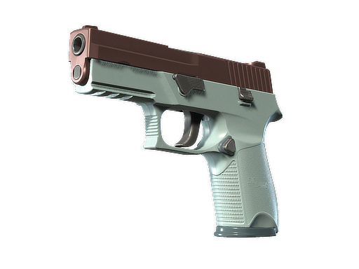 P250 | Copper Oxide (Minimal Wear)