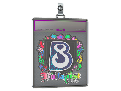 Sticker Slab | B8 (Holo) | Budapest 2025