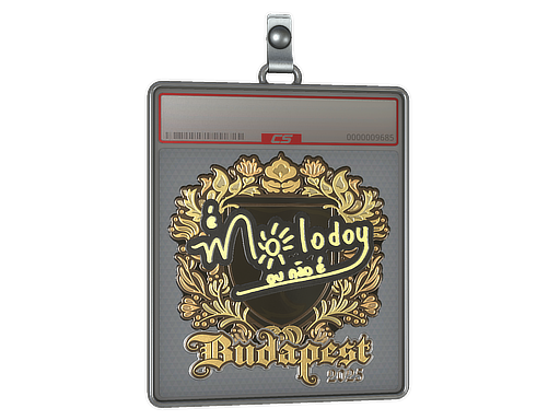 Sticker Slab | molodoy (Gold) | Budapest 2025