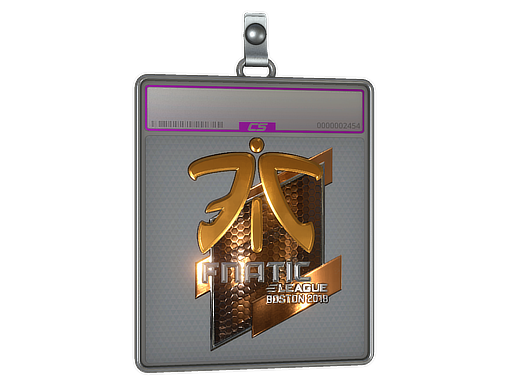 Sticker Slab | Fnatic (Foil) | Boston 2018