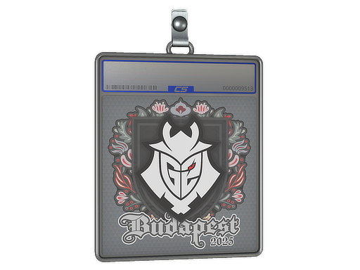 Sticker Slab | G2 esports | Budapest 2025