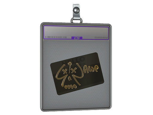 Sticker Slab | Hello AWP (Gold)