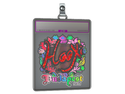 Sticker Slab | HooXi (Holo) | Budapest 2025