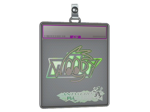 Sticker Slab | WOOD7 (Holo) | Antwerp 2022