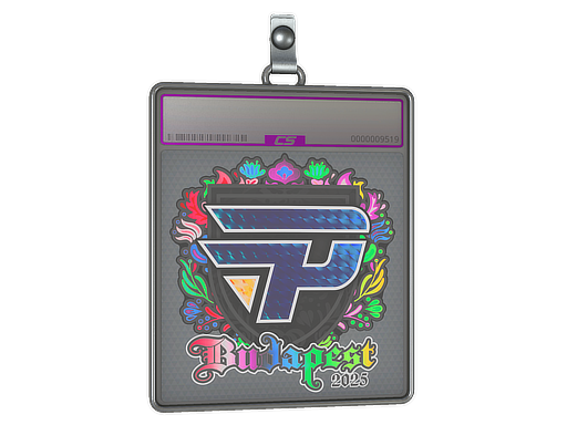 Sticker Slab | paiN Gaming (Holo) | Budapest 2025