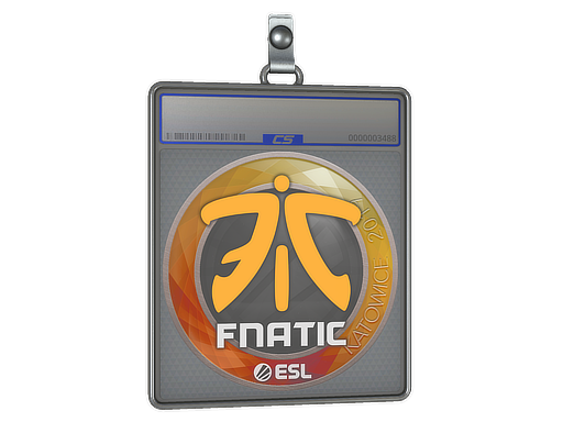 Sticker Slab | Fnatic | Katowice 2019