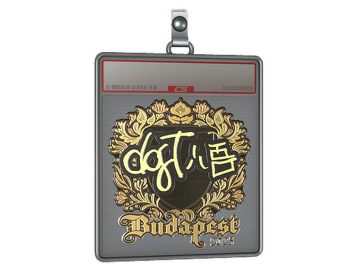 Sticker Slab | dgt (Gold) | Budapest 2025