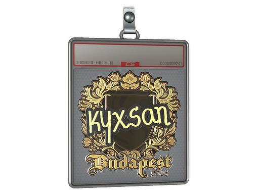 Sticker Slab | kyxsan (Gold) | Budapest 2025