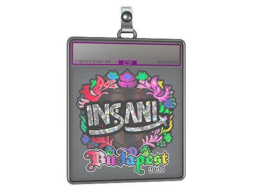 Sticker Slab | insani (Holo) | Budapest 2025