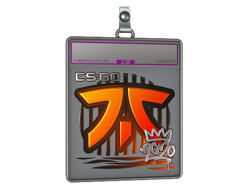 Sticker Slab | Fnatic (Foil) | 2020 RMR