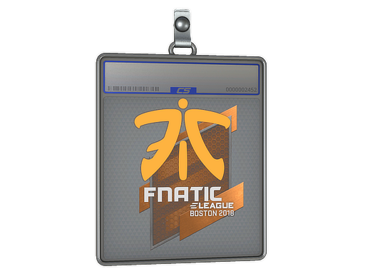 Sticker Slab | Fnatic | Boston 2018