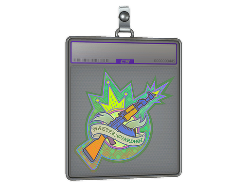 Sticker Slab | Master Guardian (Holo)